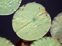 photos 2000-200901732
